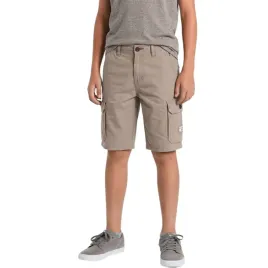 spodenki-chlopiece-billabong-all-day-szorty-cargo-bezowe