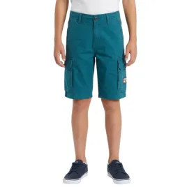 spodenki-chlopiece-billabong-all-day-cargo-krotkie-niebieskie