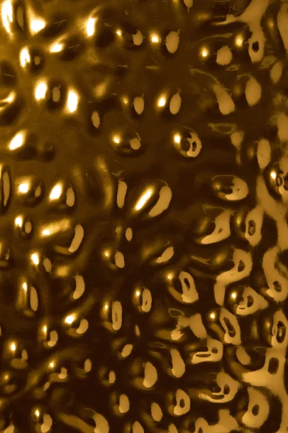 probka-panelu-sciennego-gold-wave-280-cm-x-122-cm-5-mm-jednostka-sprzedazy-sztuka