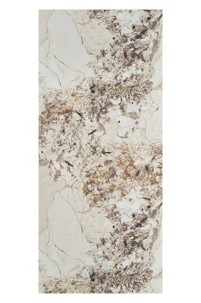 Płyta ścienna węglowa PCV WPC SPC panel ścienny 280x122 cm Patagonia Mat