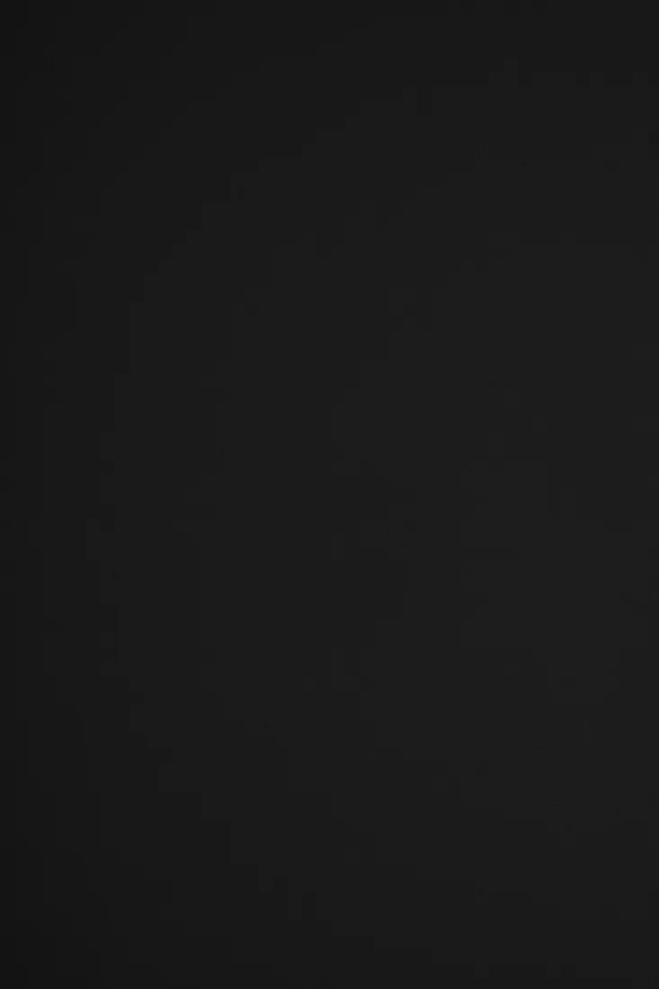 plyta-scienna-weglowa-pcv-wpc-panel-scienny-280x122-cm-czysty-czarny-mat