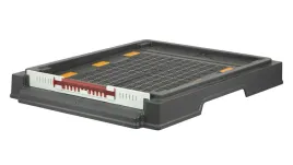 dennica-niska-hig-pl-d-apipol-ln-wl-12-ramkowa