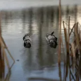 avid-pro-tect-flotation-sling-plywajacy-worek-karp-stan-nowy