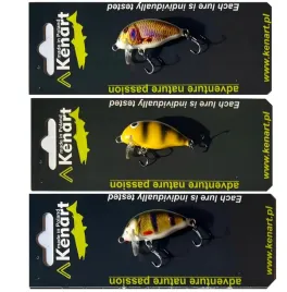 woblery-na-klenia-jazia-kenart-chubby-4-cm-zestaw-3-szt