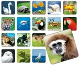 adamigo-gra-pamieciowa-memory-zoo-plec-brak-informacji