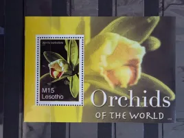 znaczki-flora-kwiaty-orchidea-lesotho-czysty-zn39