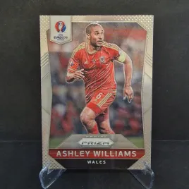 2016-panini-prizm-euro-soccer-2016-ashley-williams-walia-pr11