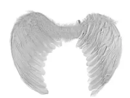 skrzydla-aniola-50x38-67-75