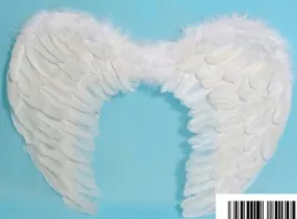 skrzydla-aniola-60x40cm