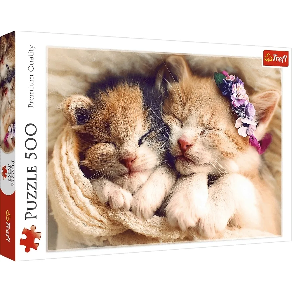 puzzle-500-spiace-kotki-37271