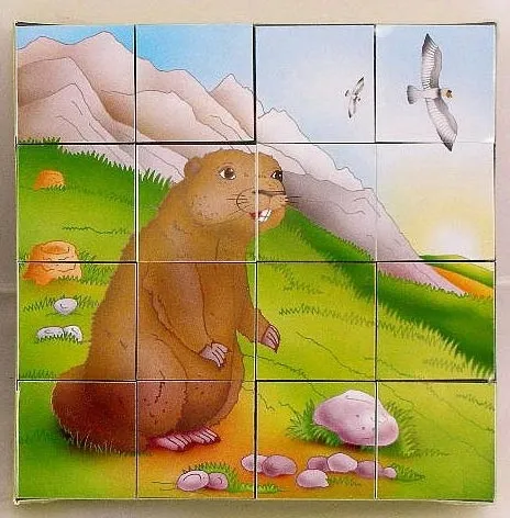 klocki-16-elementowe-4980