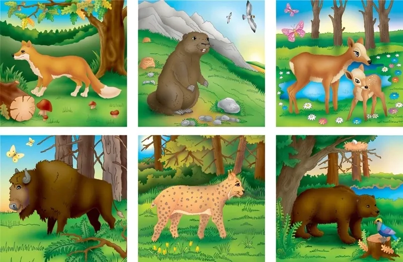 klocki-16-elementowe-4980