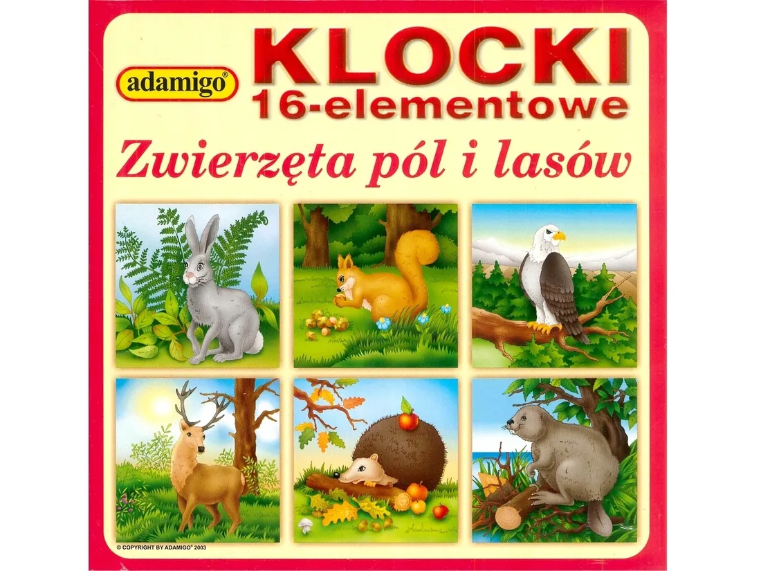 klocki-16-elementowe-4980