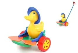 pchacz-kaczor-klapiacy