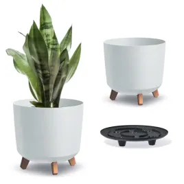 doniczka-na-nozkach-gracia-tubus-dgtl300l-or-bialy