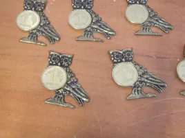 sowa-z-groszem-10szt-6325