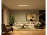 philips-hue-surimu-panel-rec-or-philips-hue-material-dominujacy-metal