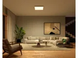 philips-hue-surimu-panel-sq-large-or-philips-hue-liczba-punktow-swiatla-1