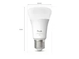 philips-hue-wca-a60-e27-2kit-pro-eu-or-philips-hue-ksztalt-zarowki-tradycyjna