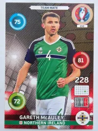 2016-panini-euro-gareth-mcauley-irlandia-polnocna-nr-210-w20