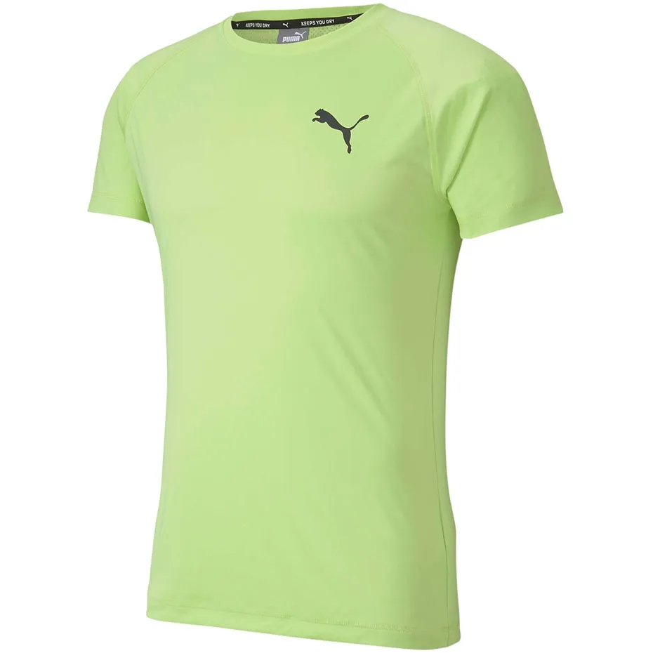 koszulka-meska-puma-rtg-tee-sharp-zielona