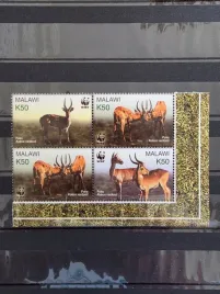 znaczki-fauna-zwierzeta-antylopy-malawi-czysty-p21