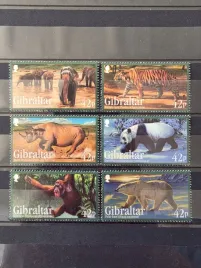 znaczki-fauna-zwierzeta-pandy-malpy-tygrysy-gibraltar-czysty-zn1