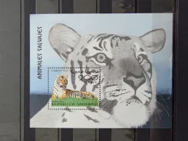 znaczki-fauna-zwierzeta-koty-tygrysy-saharaui-czysty-zn29