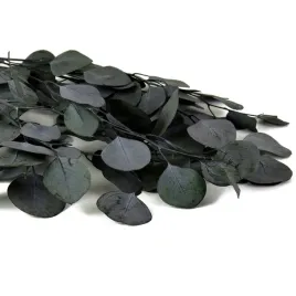 eukaliptus-suszony-stabilizowany-naturalna-pieknosc-ciemno-zielony-bukiet