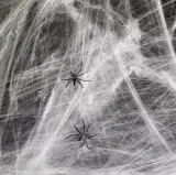 pajeczyna-biala-20-g