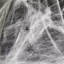 pajeczyna-biala-20-g