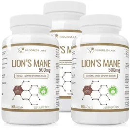lions-mane-500mg-soplowka-jezowata-stres-3x60k