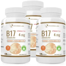 b17-amigdalina-4mg-prebiotyk-pestki-moreli-3x120k