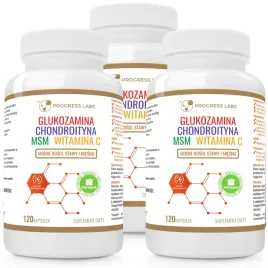 glukozamina-chondroityna-msm-witamina-c-stawy-360k