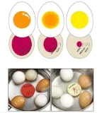 stoper-minutnik-do-gotowania-jajek-stan-nowy-marka-bez-marki