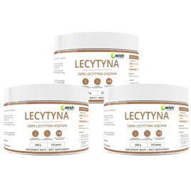 lecytyna-sojowa-100percent-w-proszku-750g-pamiec-i-koncetracja-stres-cholesterol