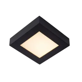 plafon-lazienkowy-led-15w-brice-led-28117-17-30-lucide