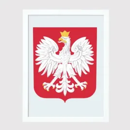 godlo-herb-polski-w-ramie-30x40-cm-a3