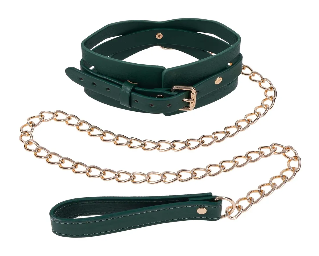 cutout-collar-and-leash