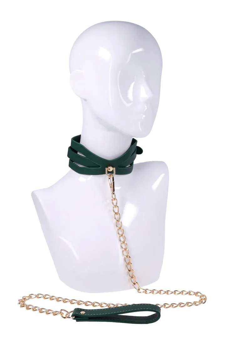 cutout-collar-and-leash
