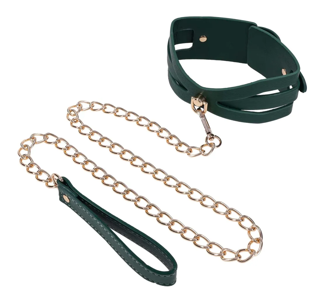 cutout-collar-and-leash
