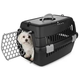 happet-transporter-teddy-m-42x30x30cm-szary-plastikowy