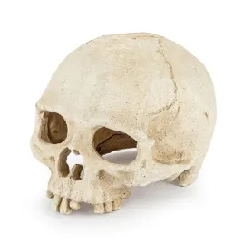 ozdoba-czaszka-kryjowka-dekoracja-do-terrarium-akwarium-happet-15cm