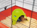 savic-domek-plastikowy-sputnik