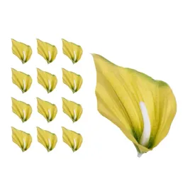 kalia-calla-glowka-12-sztuk-zielona
