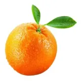 pomarancze-9kg