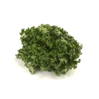 salata-frisee-1-sztuka