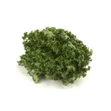 salata-frisee-1-sztuka
