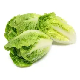 salata-little-gem-klasa-i-polska-2szt