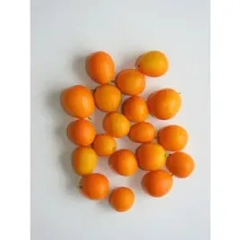 kumquat-hiszpania-250g